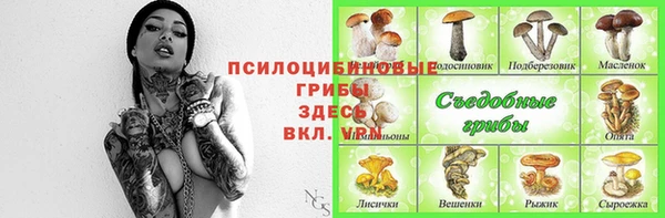 Альфа ПВП Иннополис