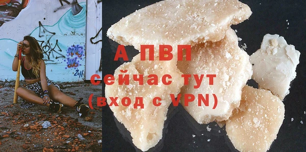 эйфоретик Инта