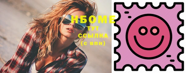 apvp Инсар
