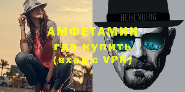 apvp Инсар