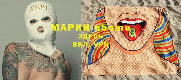 apvp Инсар