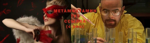 apvp Инсар