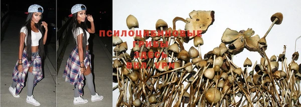 apvp Инсар