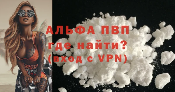 эйфоретик Инта