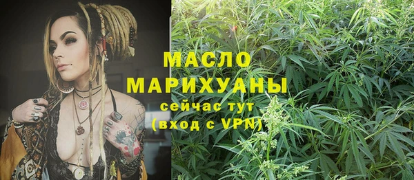 apvp Инсар