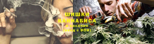 apvp Инсар