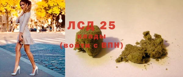 apvp Инсар