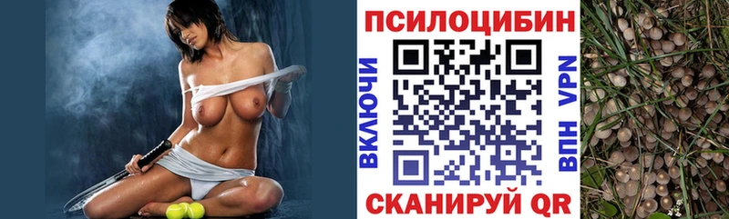 Псилоцибиновые грибы GOLDEN TEACHER  Купить  Карабулак 